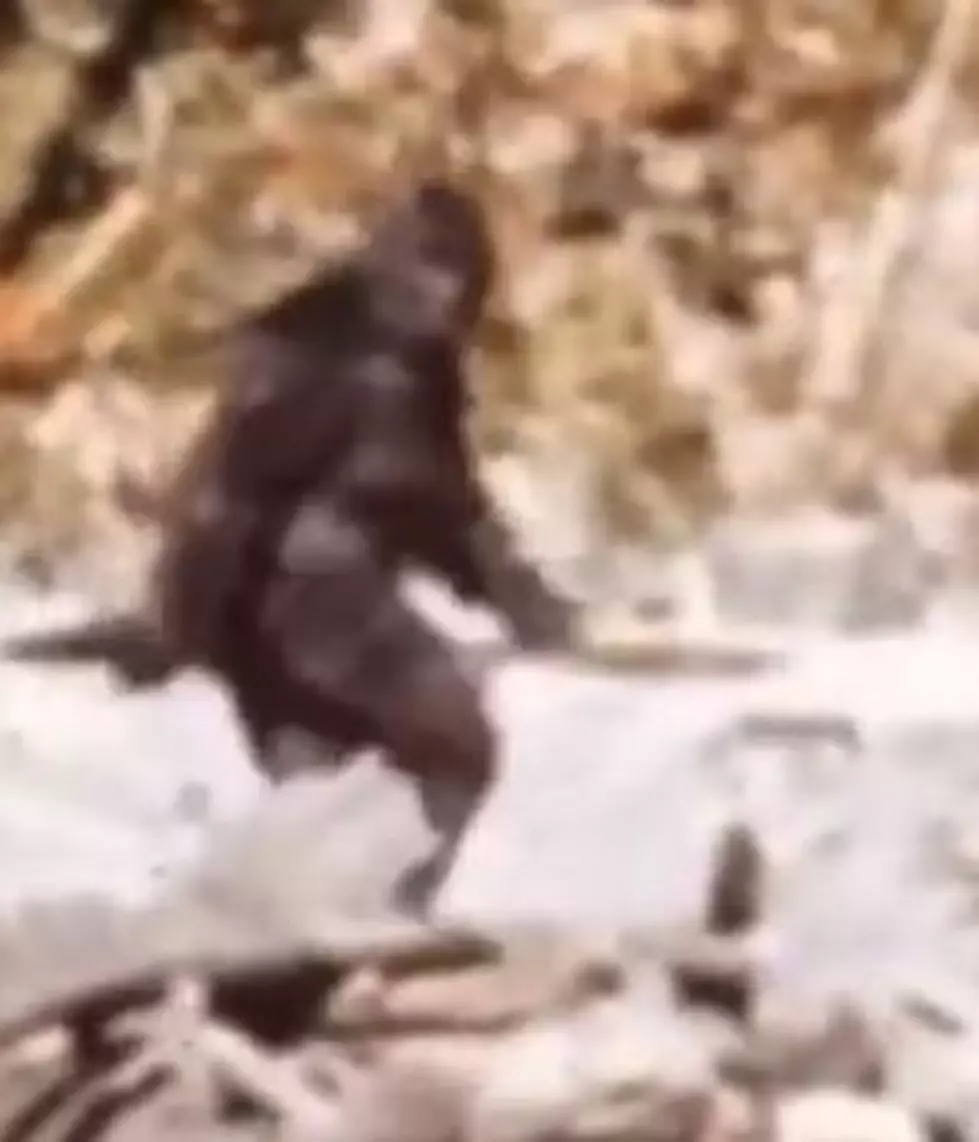 They Still Haven&#8217;t Found Bigfoot [VIDEO]