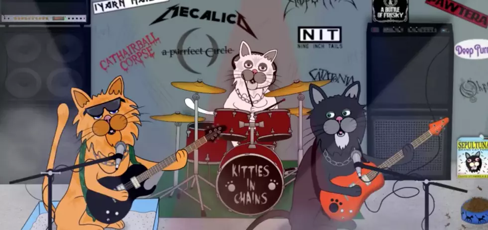 Check Out This Alice In Chains Parody 'Cat In The Box' [VIDEO]