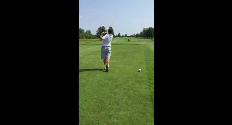 Golfer Hits Seagull With Golfball