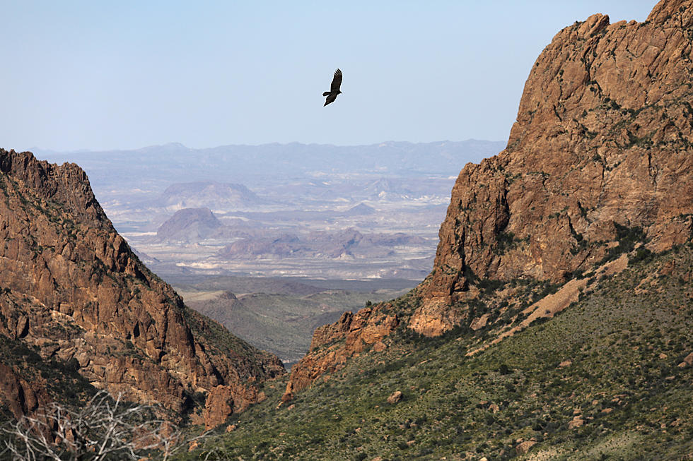 Free Admission on August 25th for National Parks 104th Birthday