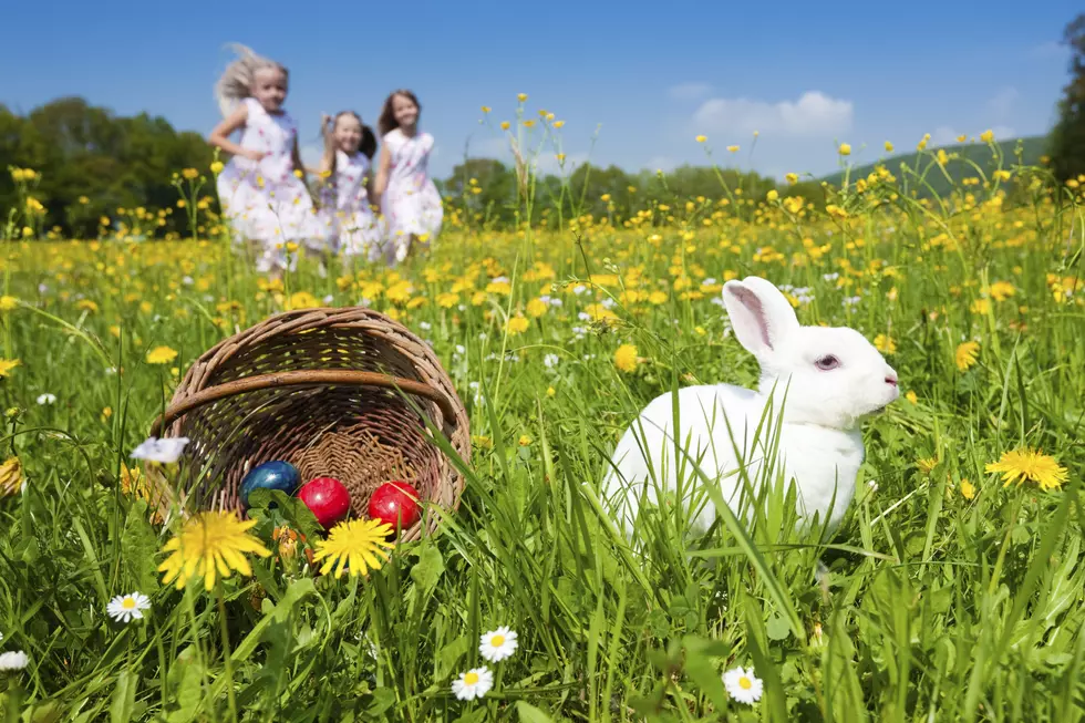 Top 5 Things The Easter Bunny Needs To Know About Lubbock