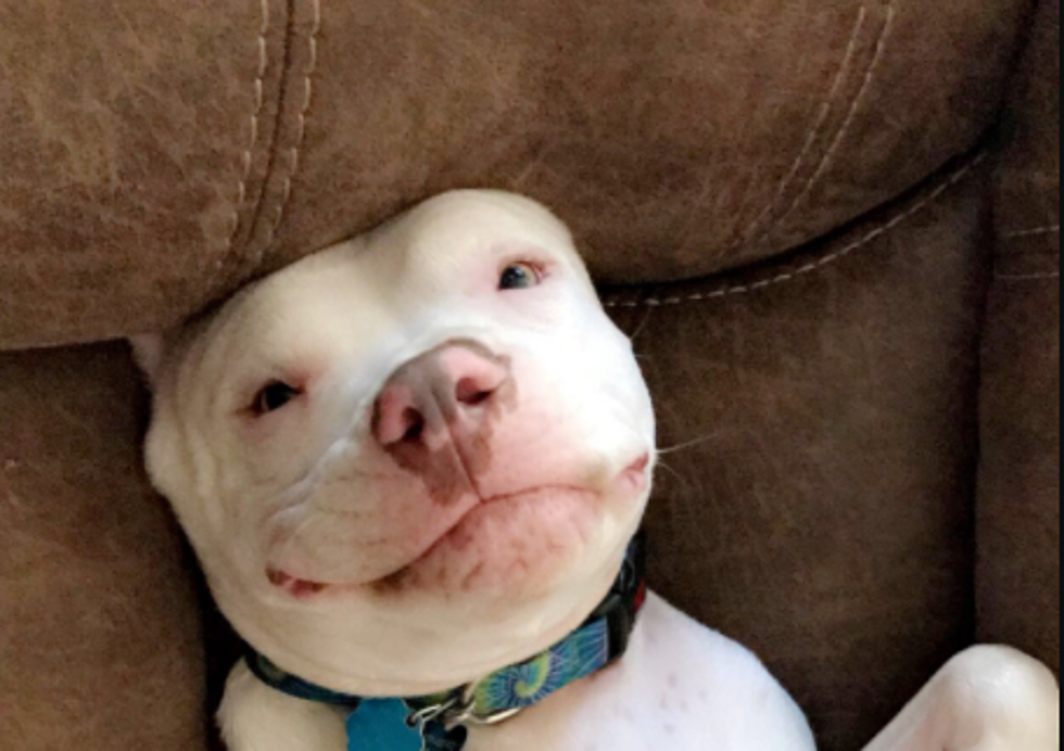 Meet Syrus, Our First Round Winner of the ‘Show Us Your Pits’ Contest
