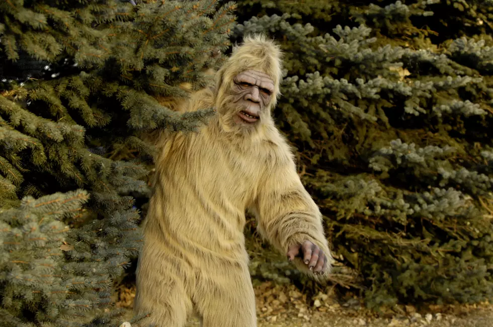 Lubbock, Texas Is Now the Bigfoot Capitol of the World