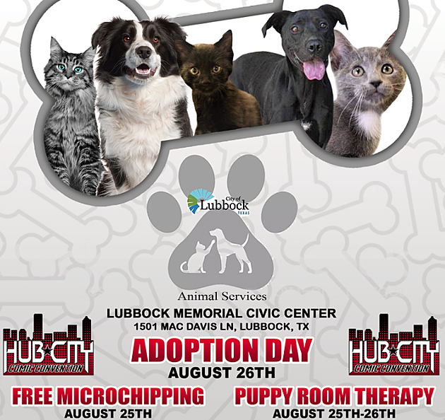 Hub City Comic Con to Host Pet Adoption, Microchipping &#038; Puppy Therapy Days