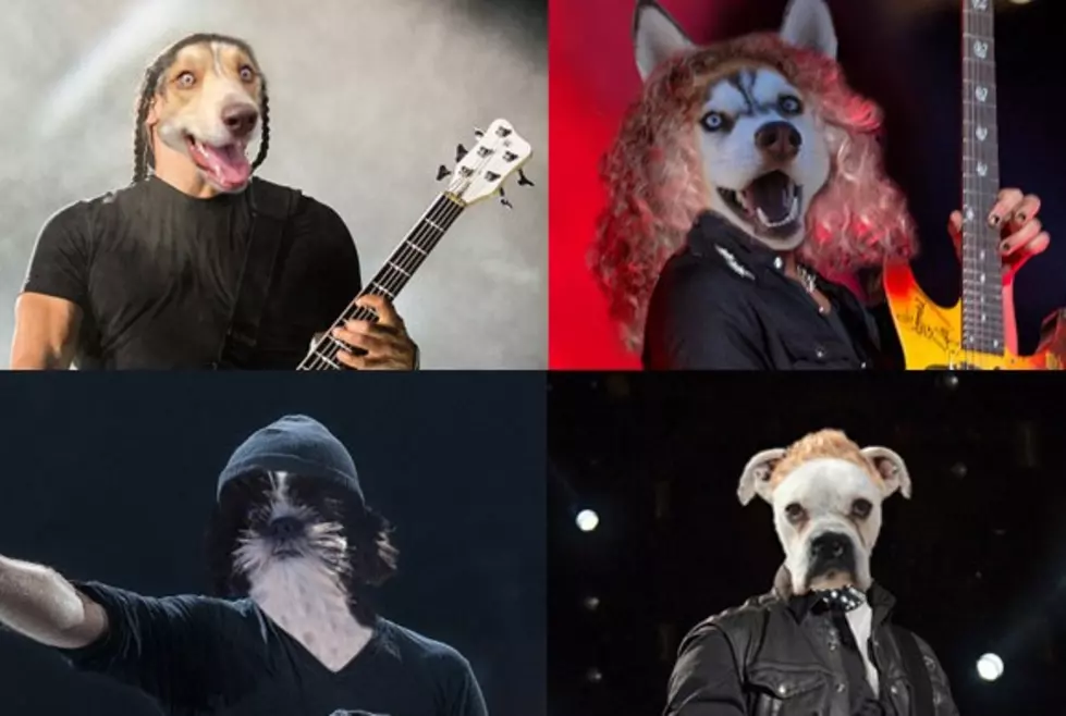 Become FMX&#8217;s Master of Puppies &#038; You&#8217;ll Win Metallica Tickets