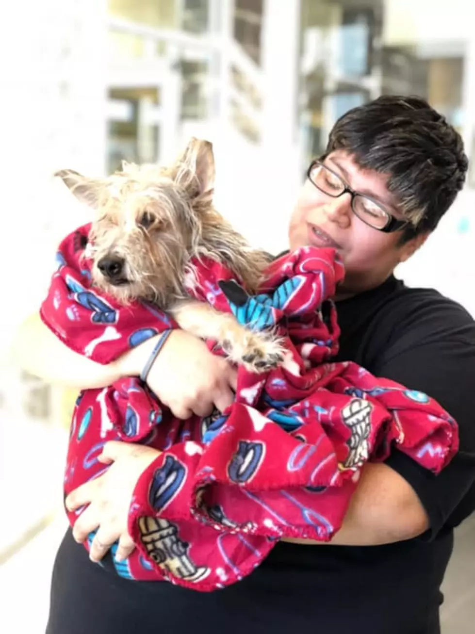 Woman Reunited With Dog After 9 Years Thanks to Lubbock Animal Shelter