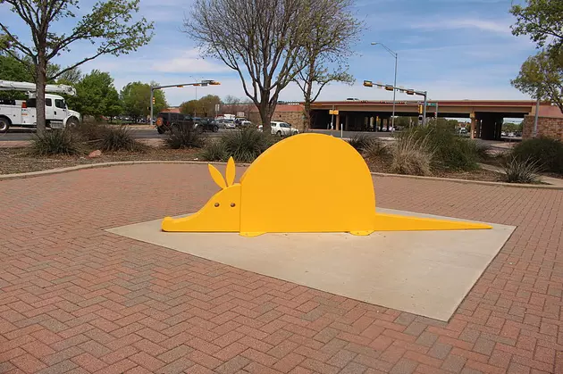Lubbock Arts Alliance Wants Your Vote For The Next Public Art Display