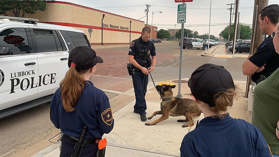 Lubbock K9 Officer Shot in Early Morning Pursuit of Suspect