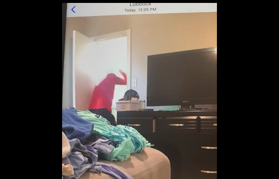 Texas Tech Student Catches Roommate On Camera Abusing His Dog [Video]