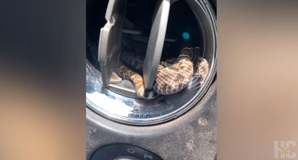 Texas Man Finds Rattlesnake in the Worst Place Imaginable