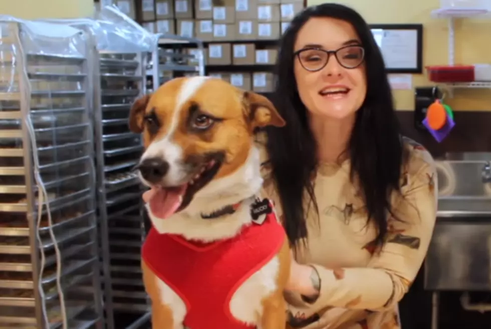 Renee Raven Is Stoked for Three Dog Bakery&#8217;s Back to School Sale