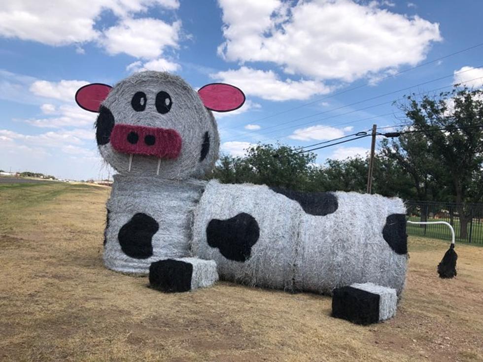 Children’s Home of Lubbock Displays ‘Moooving’ Hay Bales