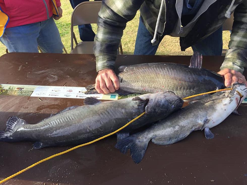 Lubbock Lions Club Kidsfish at Maxey Park Happening on April 25th