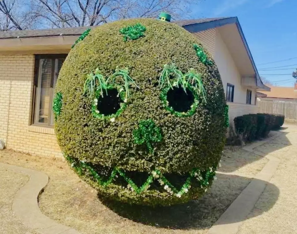Lubbock's Smiling Bush Is Ready for St. Patrick's Day