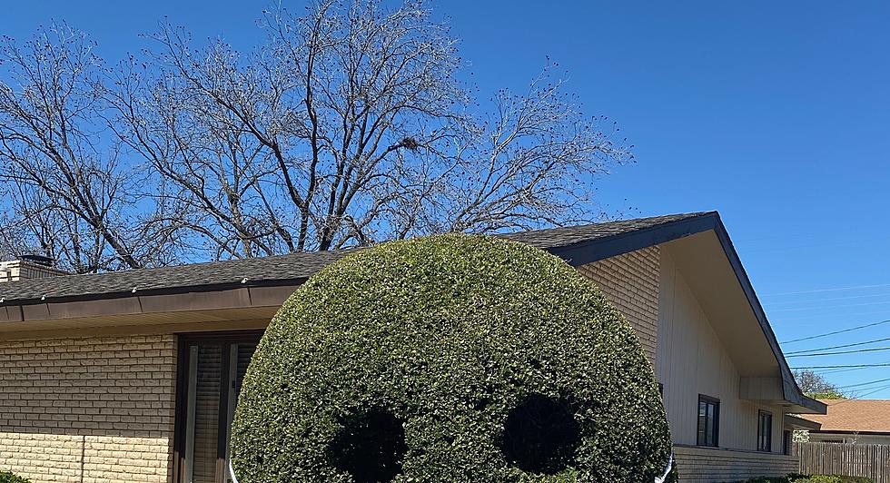 Lubbock’s ‘Smiling Bush’ Is Reminding Others to Be Hypervigilant