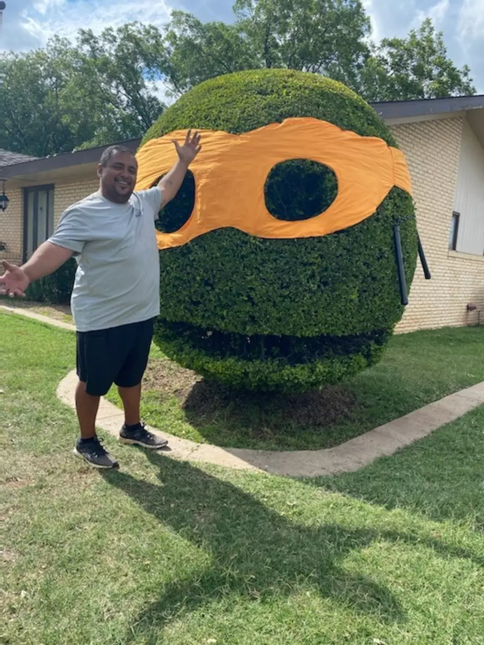 Lubbock’s Smiling Bush Is Now a Hero in a Half-Shell [Gallery]