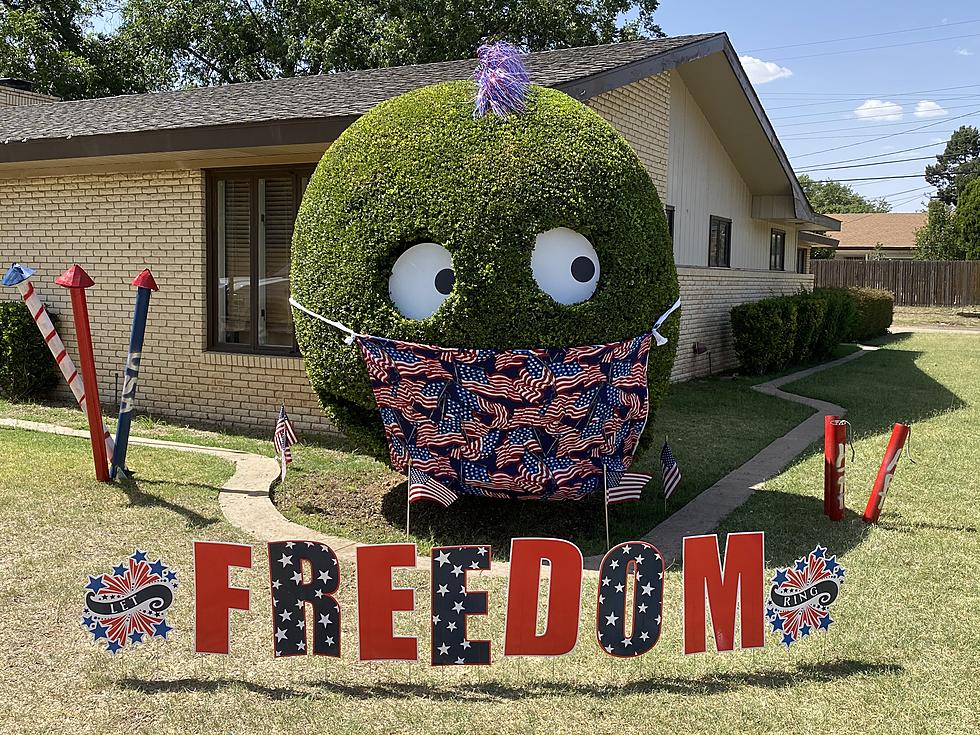 Lubbock &#8216;Smiling Bush&#8217; Ready To Celebrate 4th Of July