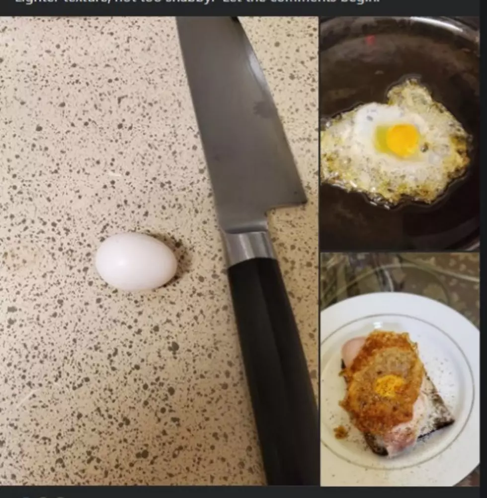 My Friend Ate a Pigeon Egg Because There&#8217;s No Rules Anymore
