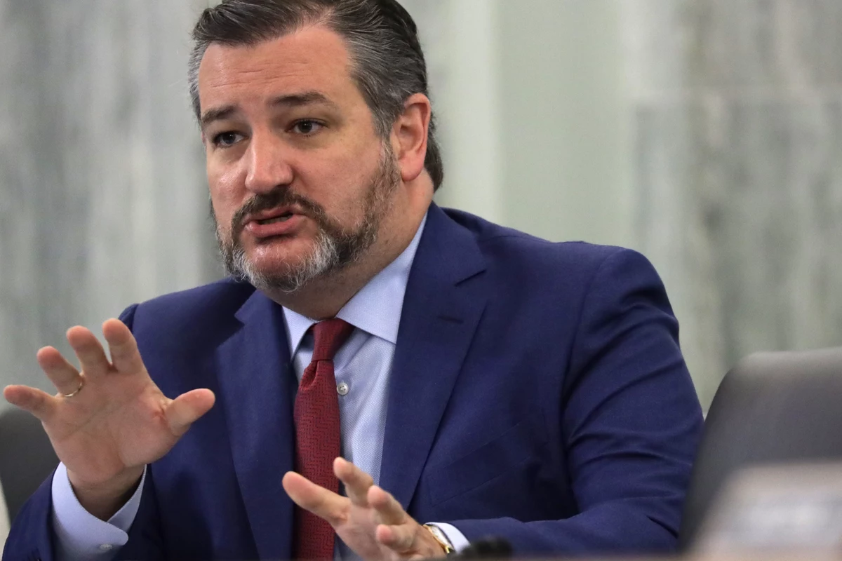 Senator Ted Cruz Ignores Airline's Face Mask Policy