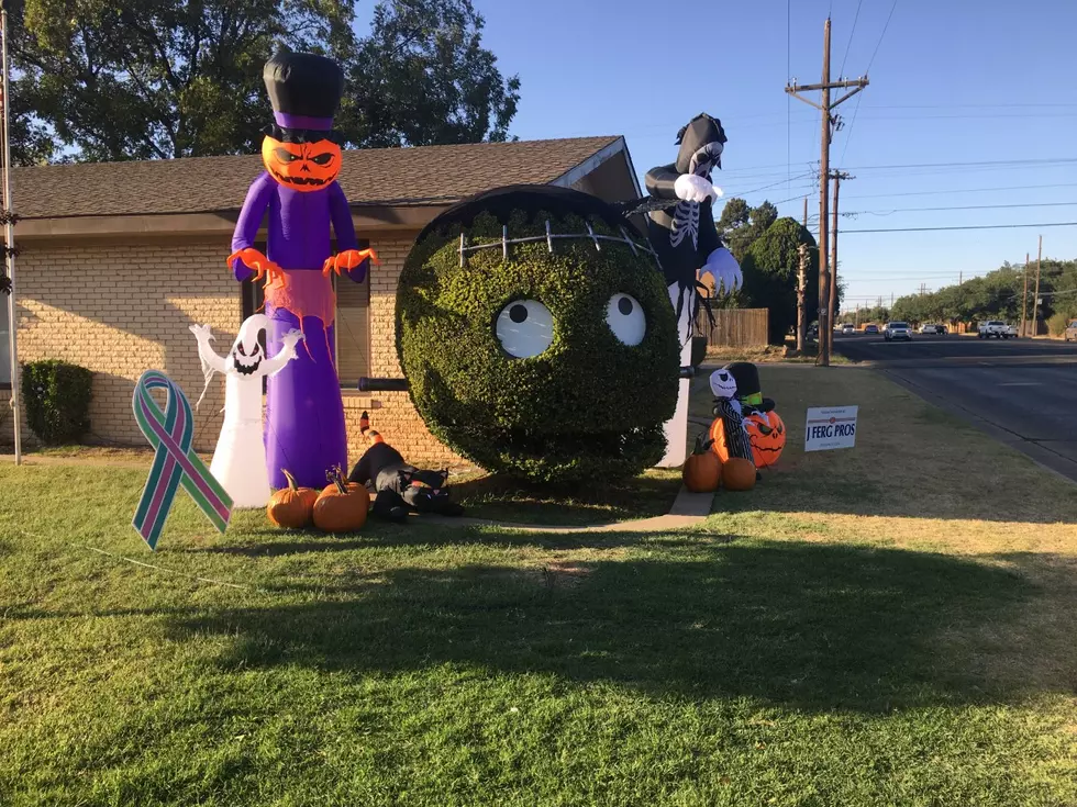 Lubbock’s Favorite Smiling Bush Is Now in Halloween Costume