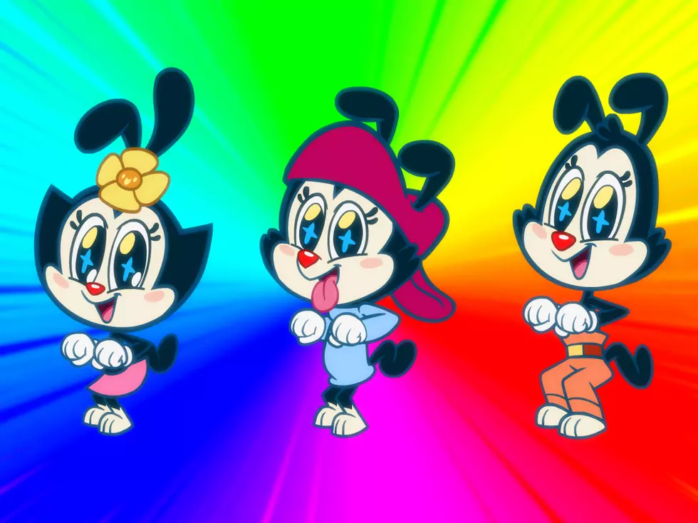 The ‘Animaniacs’ Reboot Features the Talents of Lubbock Native Will Terrell
