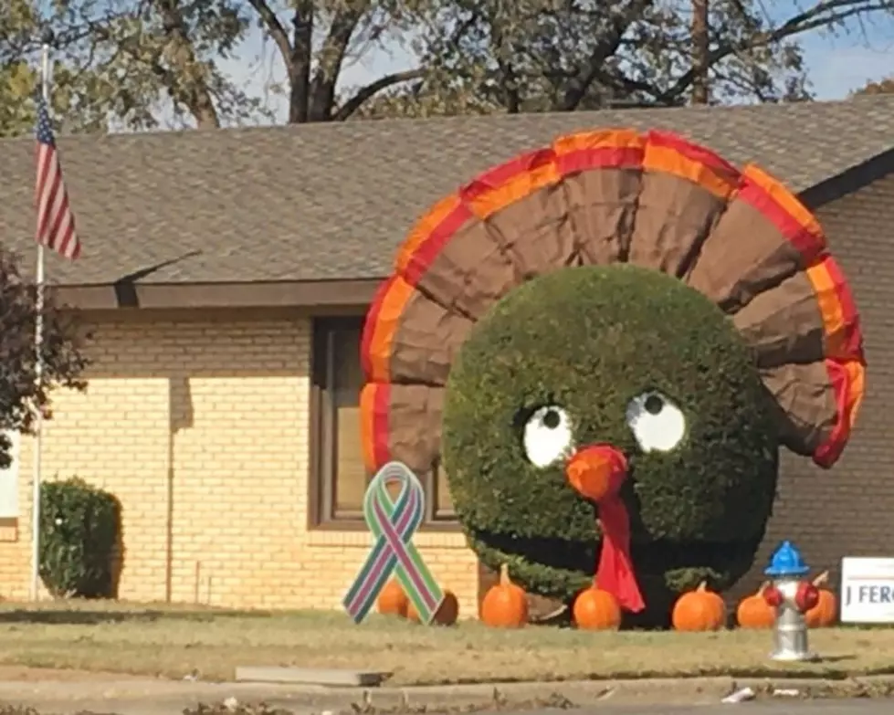 Lubbock&#8217;s Smiling Bush Gets a Turkey Day Transformation