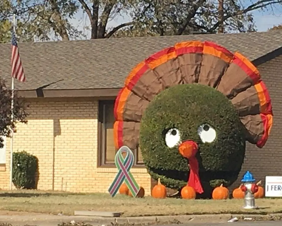 Is This the End for Lubbock&#8217;s Famed Smiling Bush?