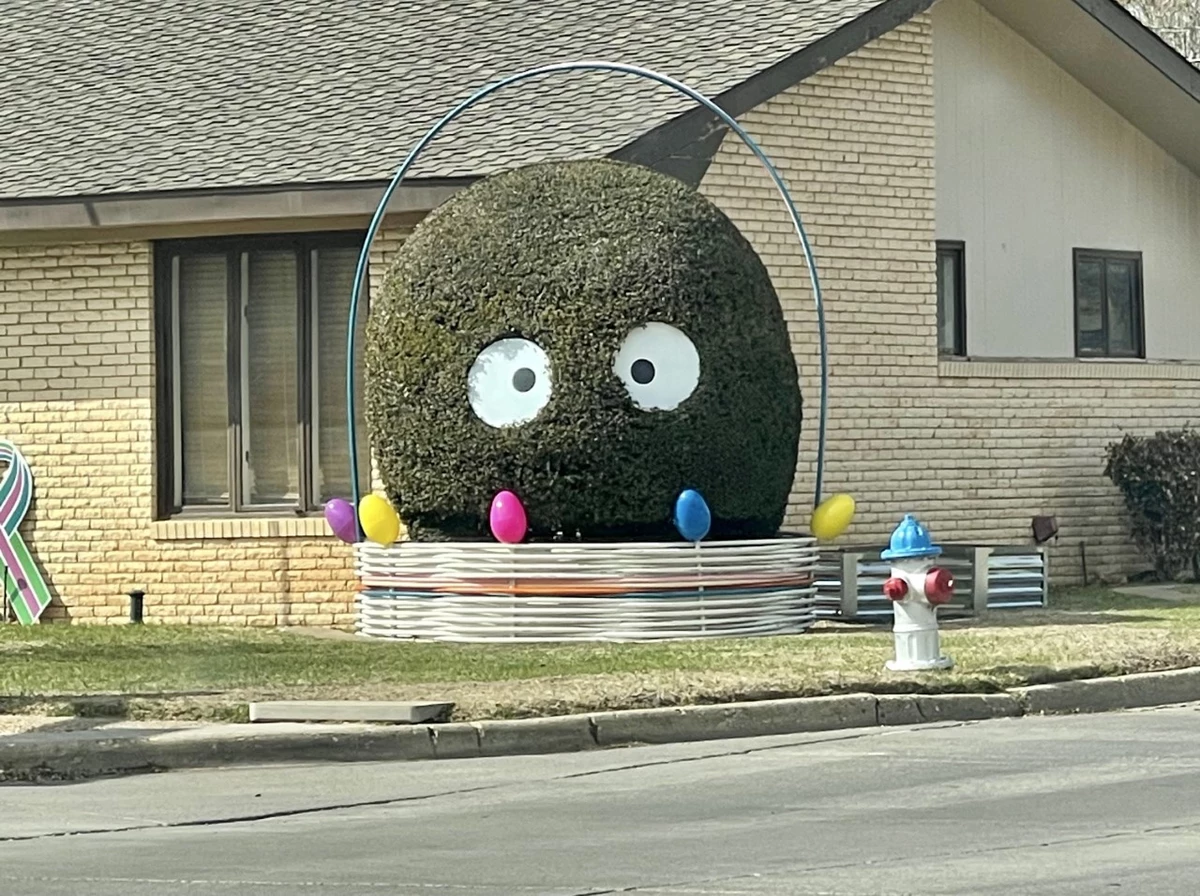 The Smiling Bush the Largest Easter Egg in Lubbock