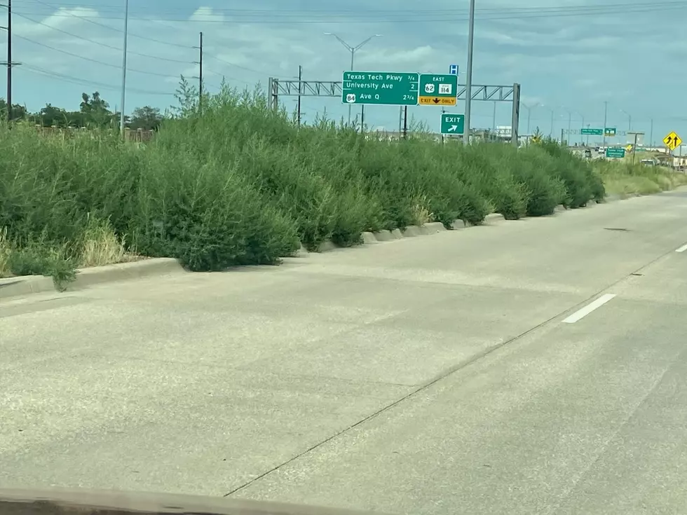 City of Lubbock Asks Citizens to Cut Tall Grass, Gets Mercilessly Dragged