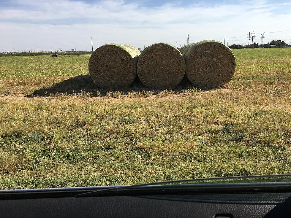 Giant Balls of Money Spotted by the Side of Lubbock Roads