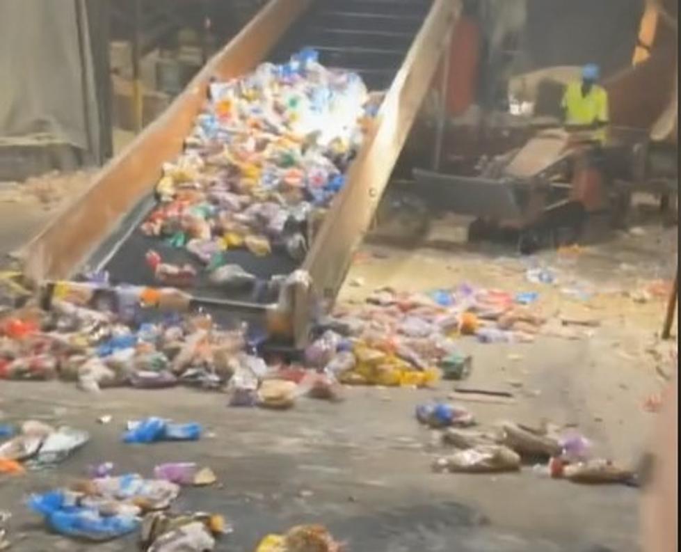 You Won't Believe How Much Trash Big AG Puts Into Pig Feed