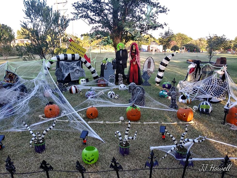 Gallery: A Tour of the Pumpkin Trail at the Lubbock Memorial Arboretum