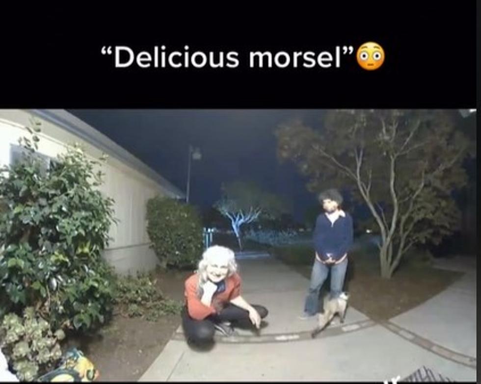 Creepy Video: TikToker Believes Her Weird Neighbor Ate Her Cat