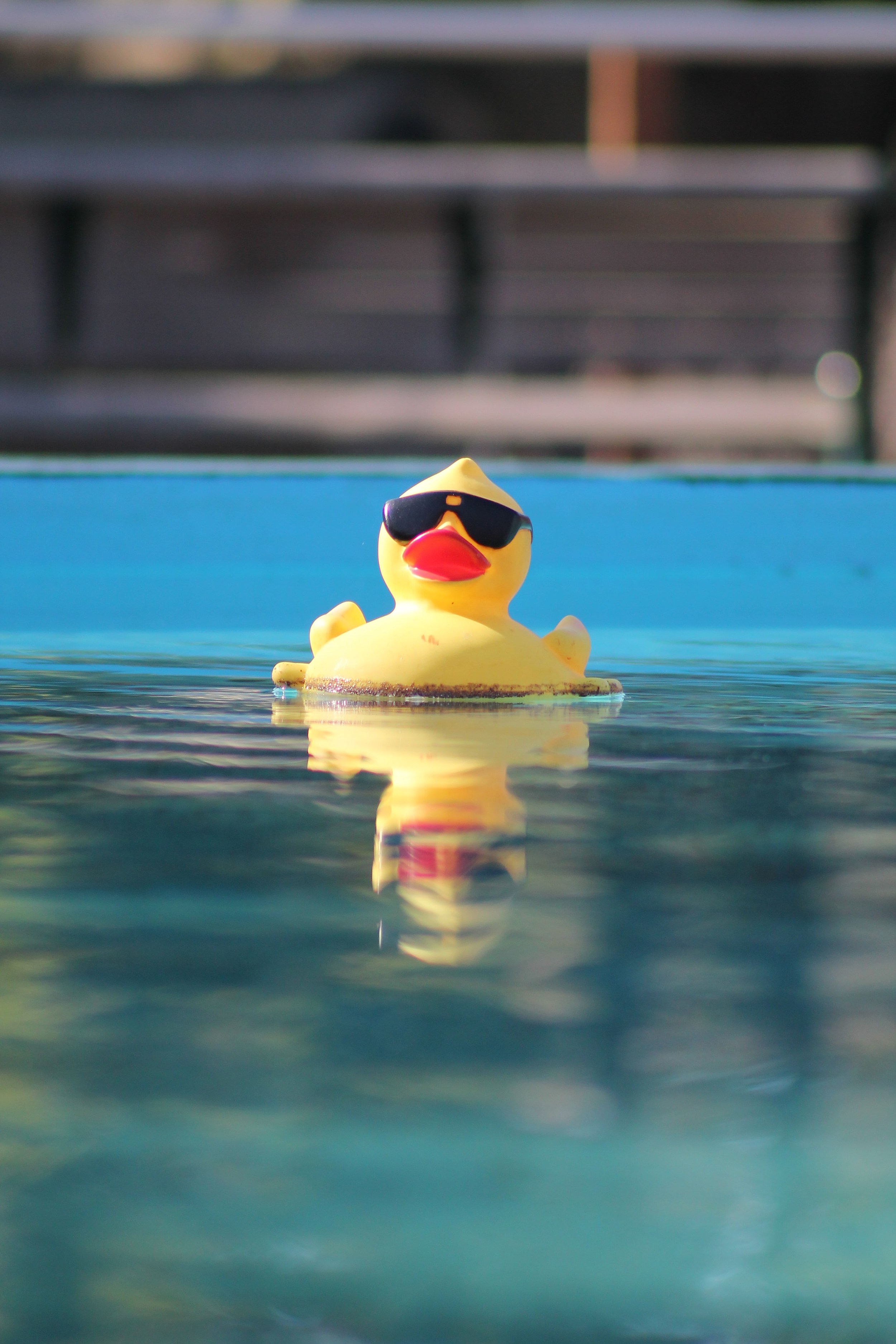 Happy National Rubber Ducky Day! Here Are Some Rubber Duck Facts You May  Not Know