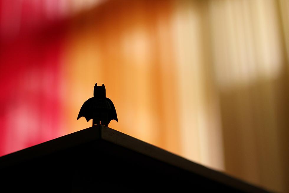 Video: Live Bat Released in Austin Theater as a Prank During ‘The Batman’