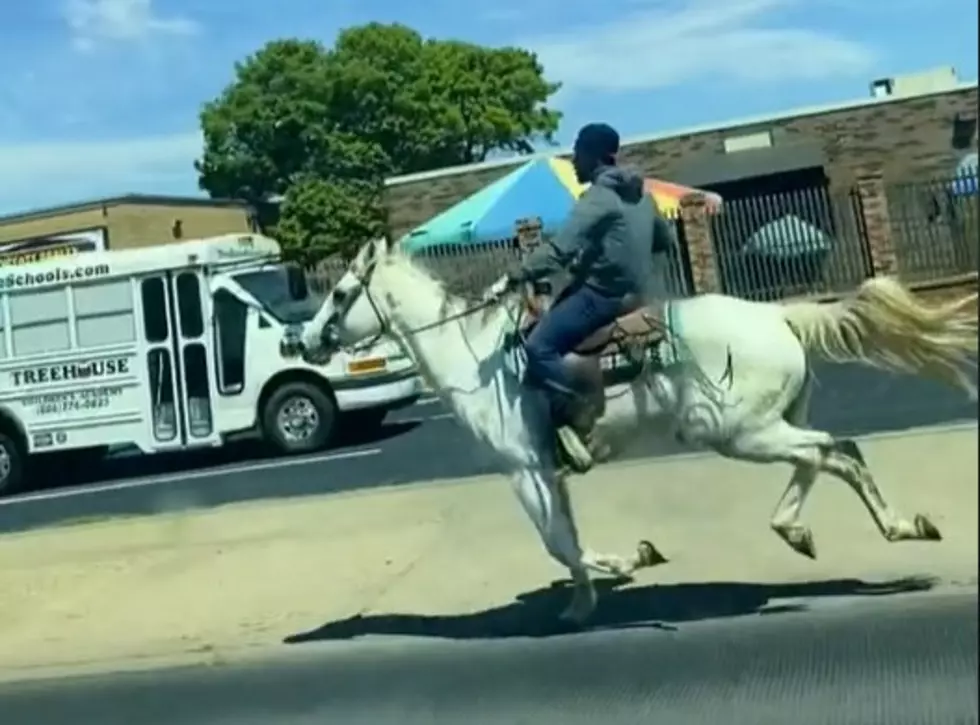 Viral Video: Woman Searches for Mysterious Man Spotted Riding Horse in Lubbock