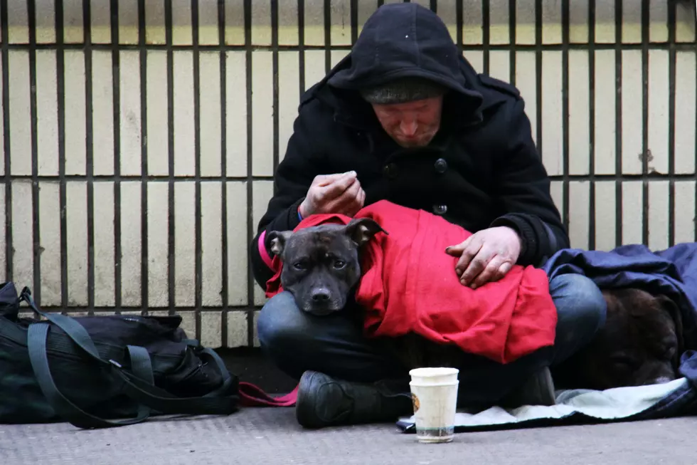 Video: TikToker Allegedly Buys Dog From Homeless Man For Attention, Then Gets Rid Of It