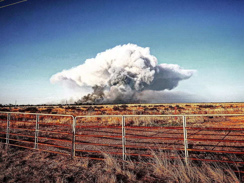 Photos: Terrifying Texas Wildfire Burns 14,000 Acres of Stonewall County