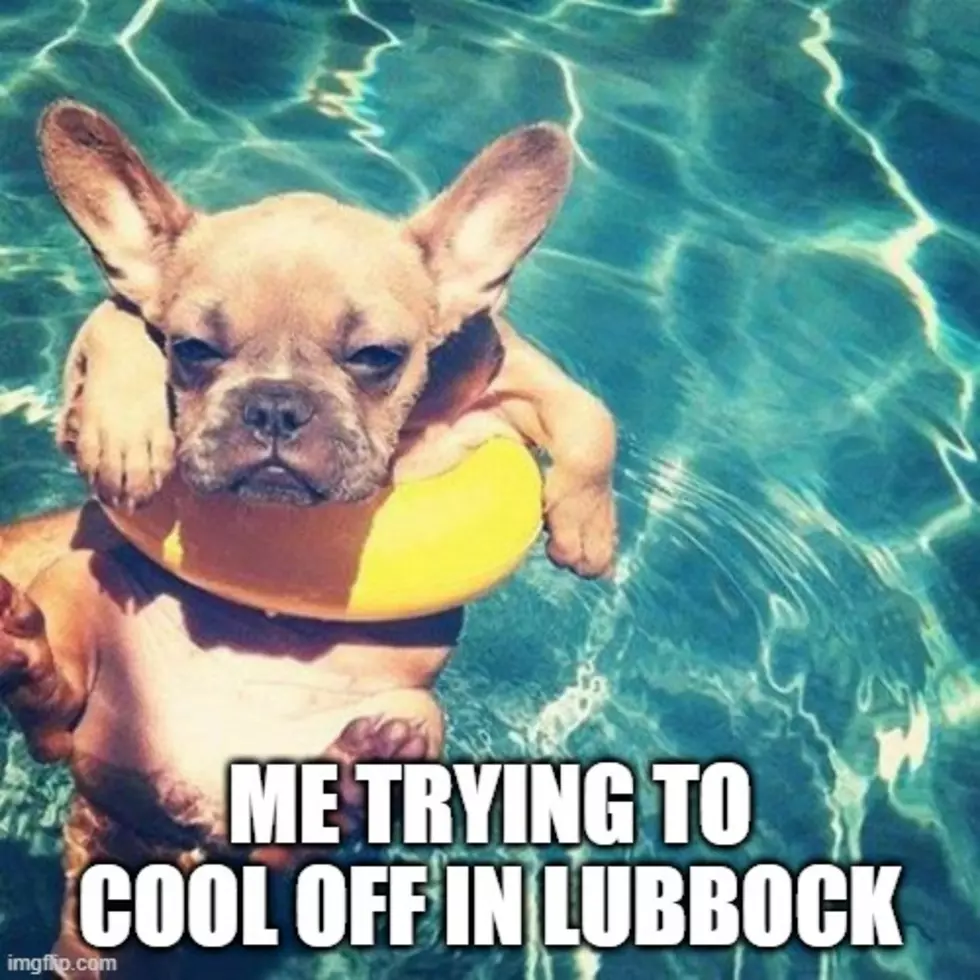9 Better Late Than Never Summer In Lubbock Memes