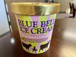 Keep Ice Cream Ice Cold: Blue Bell Selling Adorable Pint Koozies