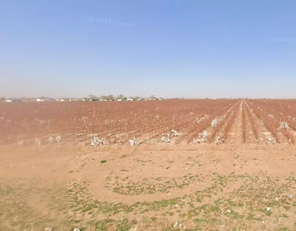 Is Lubbock, Texas Actually A Desert?