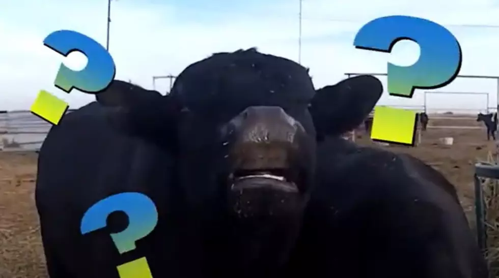 Remembering the Most Unhinged Lubbock Local TV Commercials