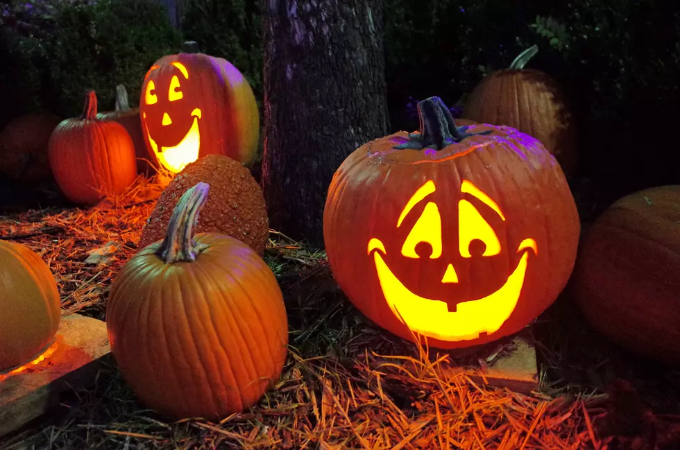 Lubbock, Let&#8217;s Make 2022 the Biggest Pumpkin Trail Ever