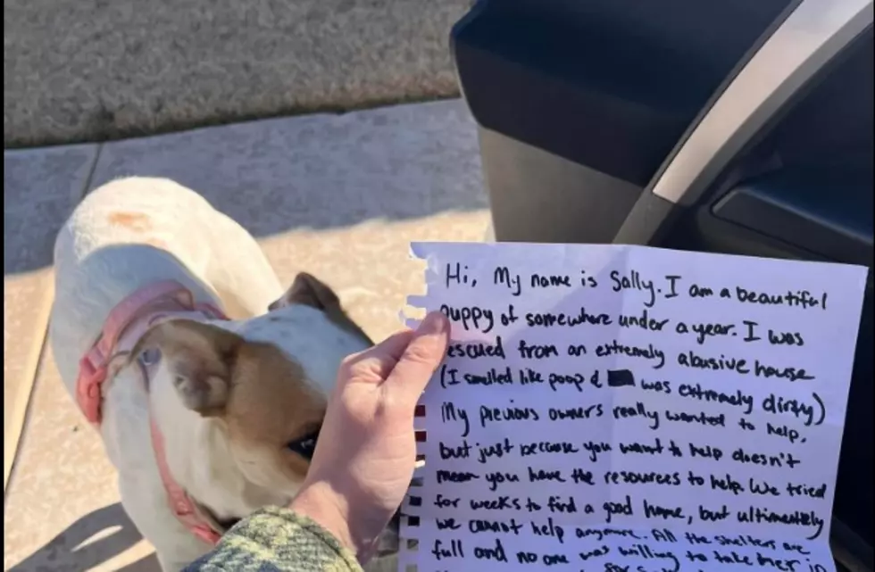 Lubbock Loser Dumps Dog With Heartbreaking Note Attached To Collar