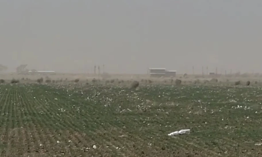 Lubbock Residents Panic Over Tumbleweeds Plot To Enslave Earth