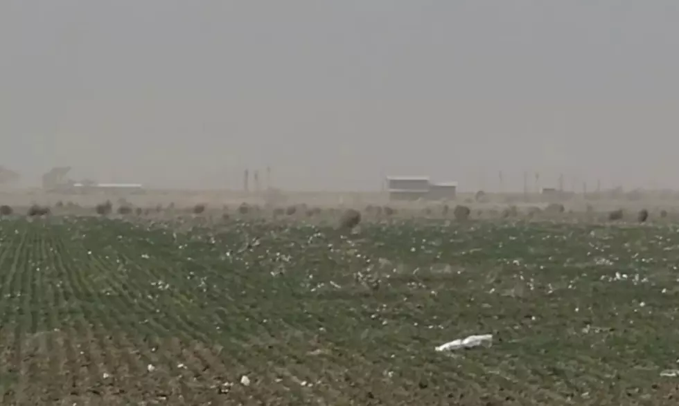 Crazy Video: The Great Tumbleweed Migration Continues It’s March Across West Texas