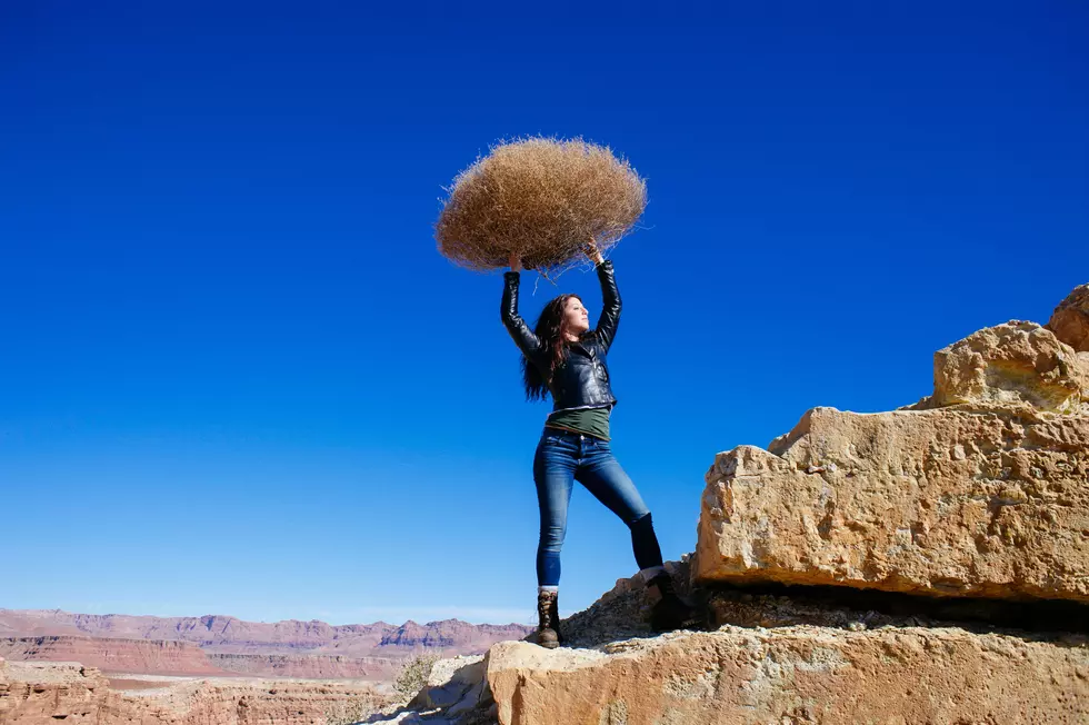 The City Of Lubbock Will Take Your Tumbleweeds