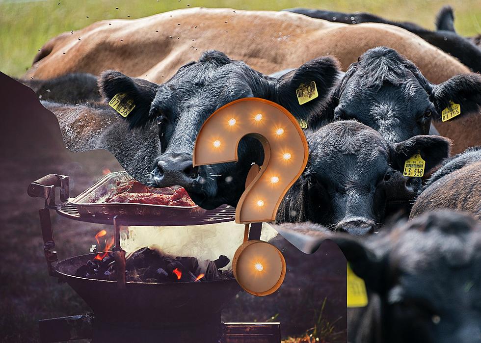 How Much Beef Could You Eat If We Had To Eat All The Cattle In Texas?