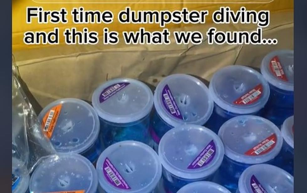 Sad Video: Dumpster Divers Found A Bunch of Live Fish Behind PetSmart