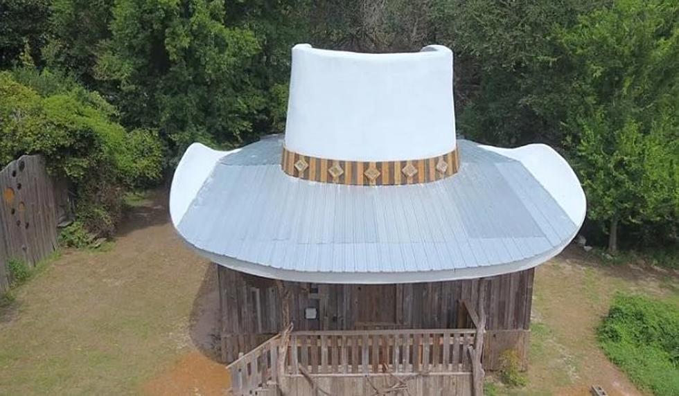 Is This Charming Tiny Home The Most Texas Thing Ever? A Tour Inside